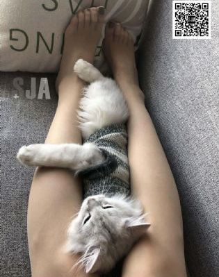 离婚后走向人生巅峰短剧免费观看_国产剧全集免费播放
